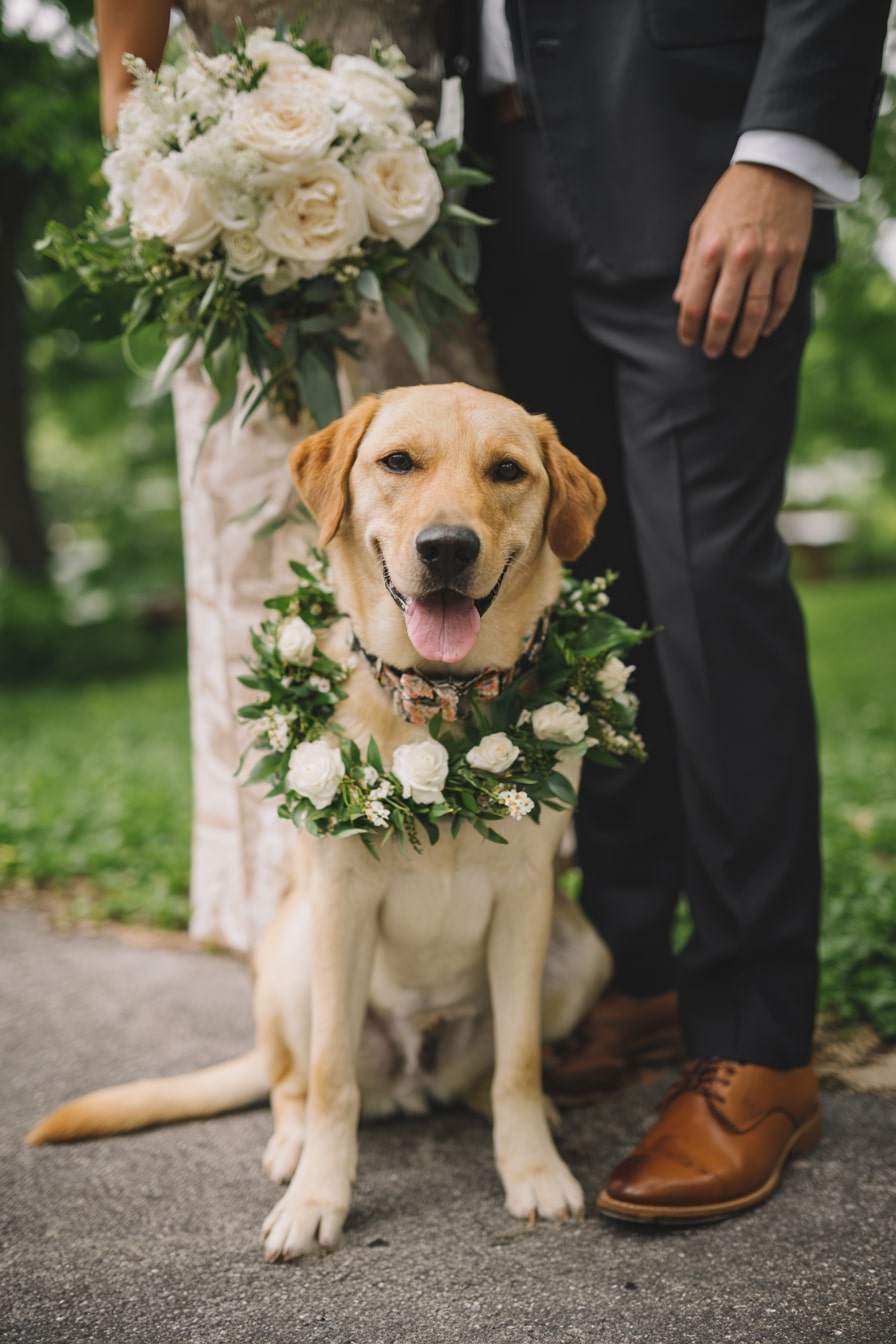 11. Include Your Dog in the Wedding Party with Floral Details