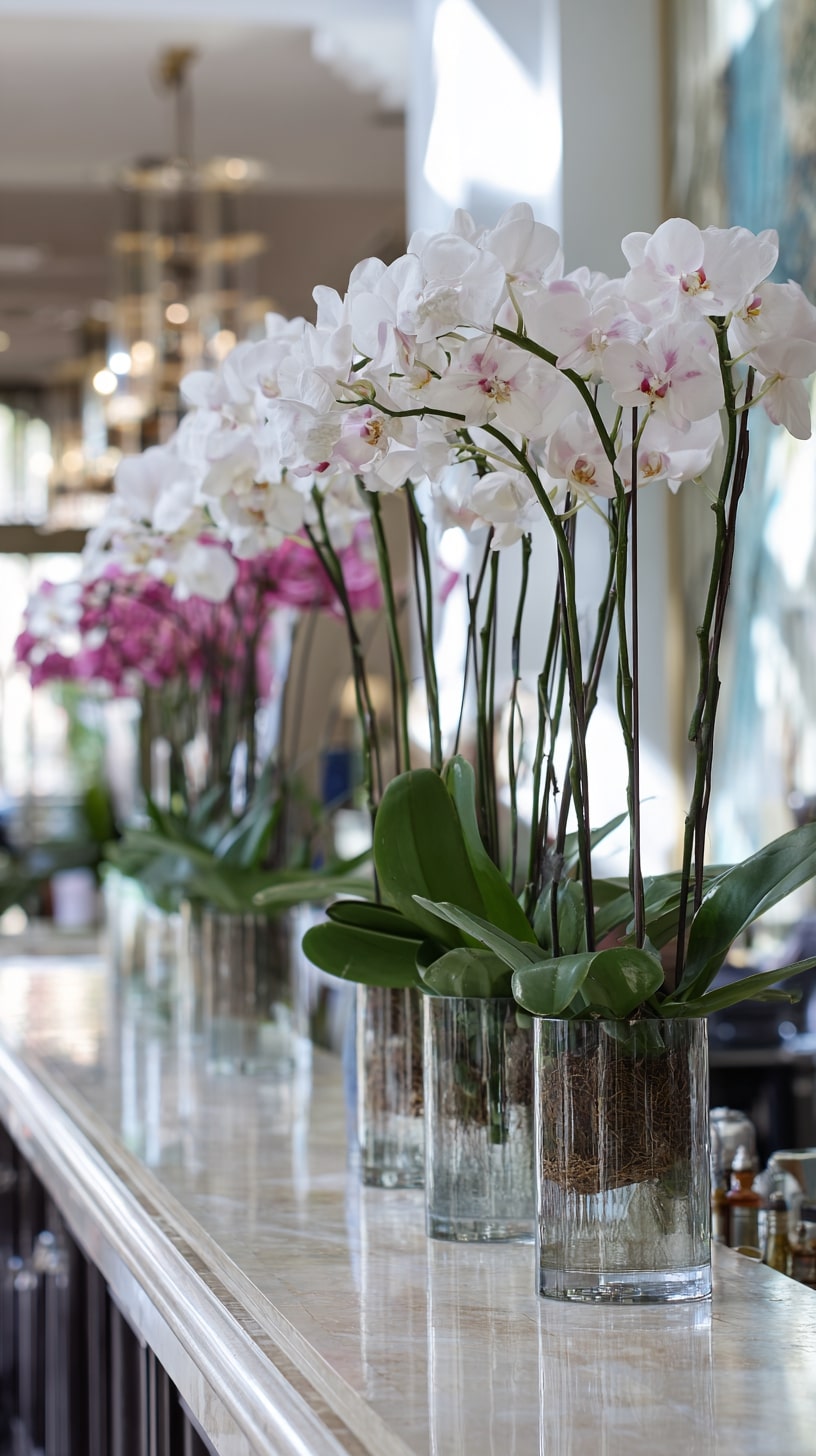 Simple Orchid Bud Vases Along the Reception Bar