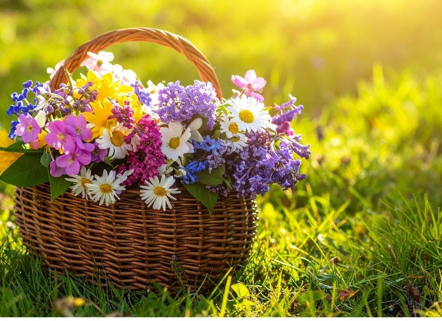 flower girl basket materials compared